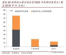 透過城投與非國企債擔保，解析專業擔保公司信用風險跟蹤