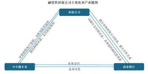 中國融資性擔(dān)保行業(yè)發(fā)展趨勢分析與投資前景預(yù)測報(bào)告 2022 2029年